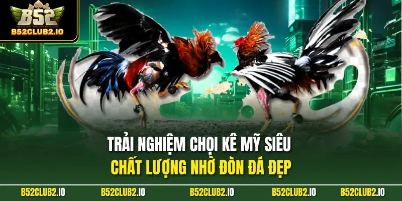 Trải nghiệm chọi kê Mỹ siêu chất lượng nhờ đòn đá đẹp